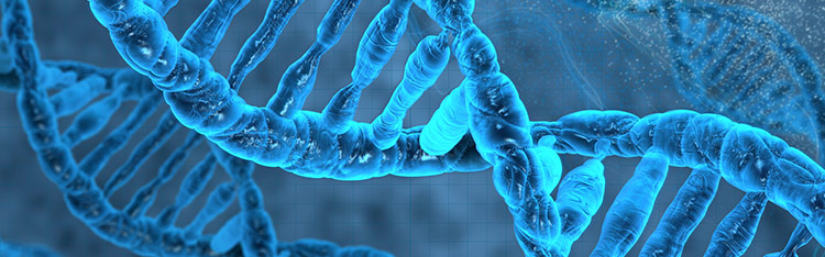 Γονιδιακός έλεγχος στο DNA - Κληρονομούμενος καρκίνος